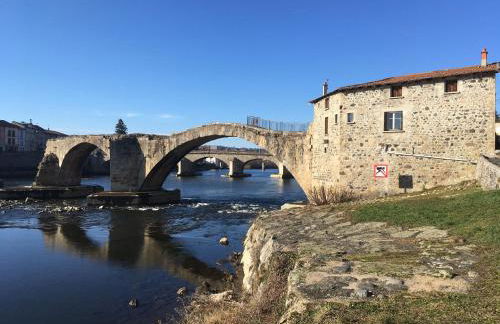 Appartement Spacieux avec Jardin Privatif, Proche du Puy-en-Velay et d'un Golf, WiFi Inclus - FR-1-582-286 - Foto 6