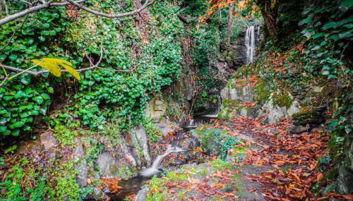 Casa Rural Valle del Arrago - Foto 4