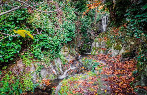 Casa Rural Valle del Arrago - Foto 4