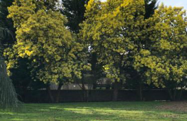 Le Montmieri - Foto 10