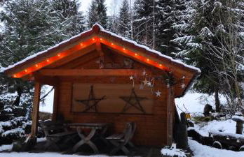 Ferienwohnung "Hirschlein" im Schwarzwald - Foto 49