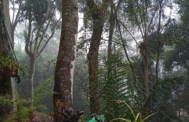 Chalé Refúgio dos Aventureiros Mata Atlântica - Foto 25