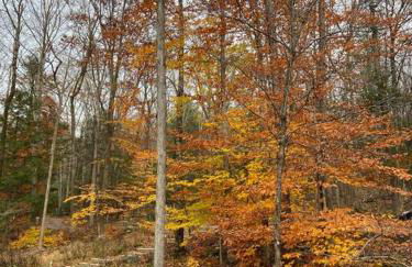 Modern Mountain Retreat - Foto 9