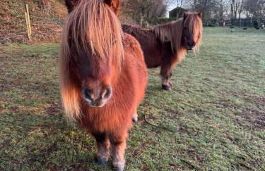 Bay View Cottage - Foto 18