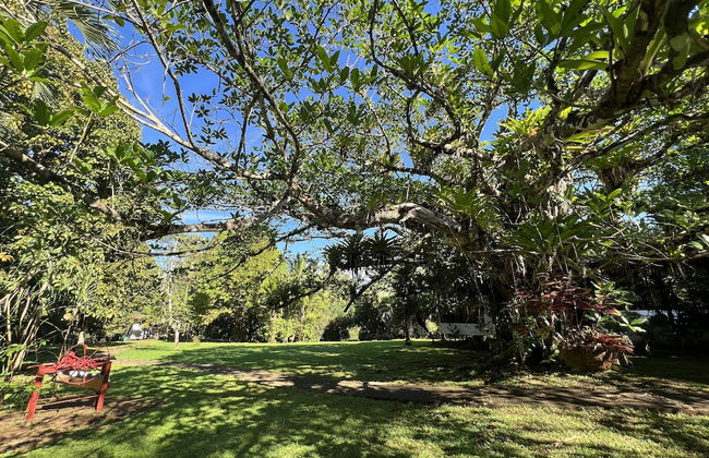 Blue Banyan Inn - Photo 22