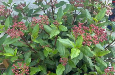 Ty Mawr, The Old School Holiday Homes - Pet Friendly - Foto 71