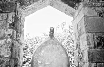 Naturalis Bio Resort - Foto 48