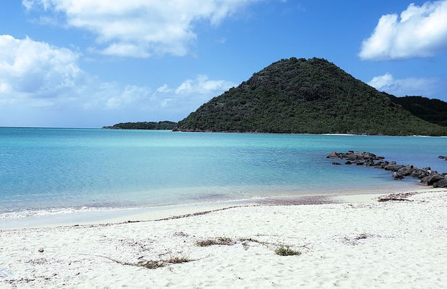 Harbour Island Residences - Photo 19