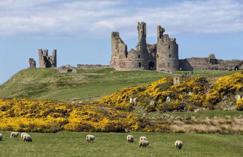 2 Bed in Craster oc-c25099 - Foto 17