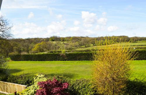 Rhosyn Gwyn - Foto 21