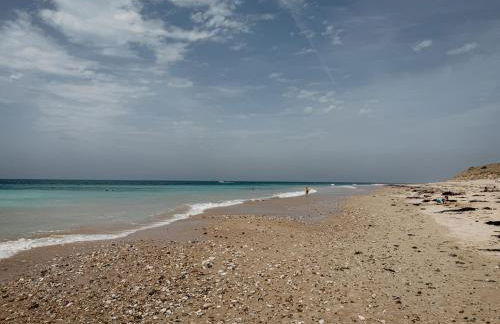 L'Olivier de Milou - Foto 62