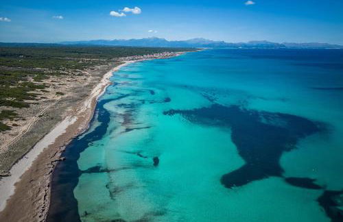 Ideal Property Mallorca - Casa Sa Nau - Foto 19