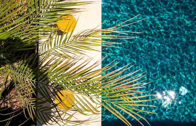 MaVillas Premium Torba - Photo 49