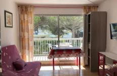 Studio Port Camargue 100m de la plage Sud - Foto 1