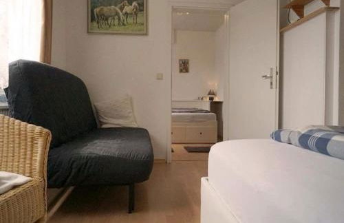 Haflinger Reiterhof Meura - Foto 34