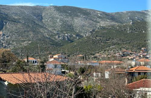 EVIA RIVIERA - Photo 45