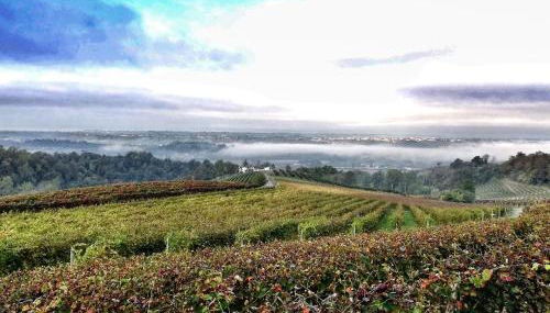 ROSTAGNI 1834 apt with pool in the Barolo region - Foto 5