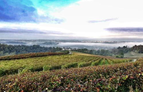 ROSTAGNI1834: VILLA WITH 2 APTS AND POOL IN THE BAROLO REGION - Foto 23