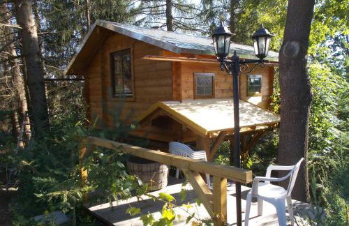 Baumhaus Wolfshöhle - Foto 11