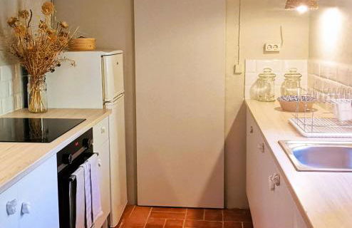 El Castell de Segueró - Foto 27