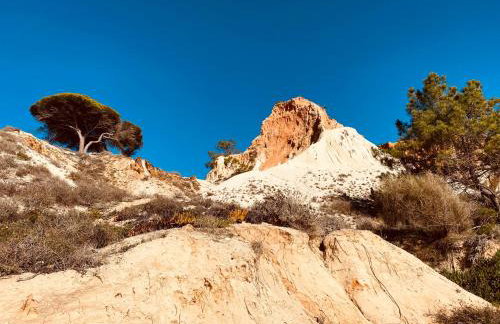 Algarve Luxury Experience - Situated within the Pinecliffs Resort - Foto 4
