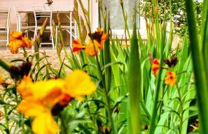 BHH Appartamento Signorini Bologna -wwwbolognaholidayhomecom- Parcheggio Riservato e Giardino - Holiday House Bologna Garden Parking - Foto 22