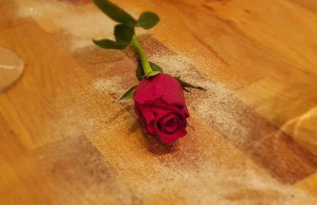 Haus Samurai - Foto 27