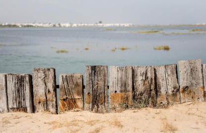 Beach House Pedras D'el Rei - Foto 62