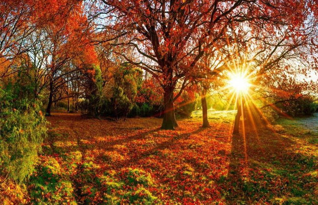 Private Chalet in the Woods - Photo 31