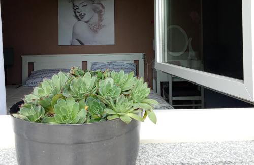 APARTMAN Viktor - Foto 19