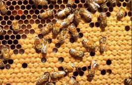 Agriturismo Roccagelli - Photo 60