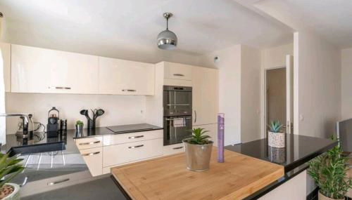 L'Atrium Hyper centre pour rejoindre Genève - Photo 2, stove, dishwasher