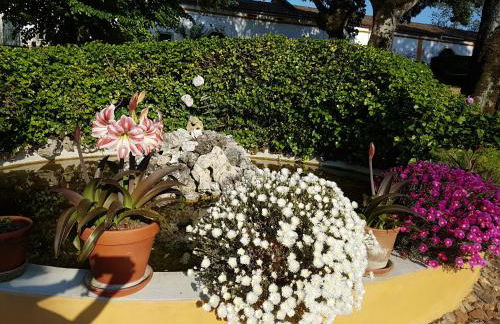 Quinta da Bizelga Cottages - Foto 25