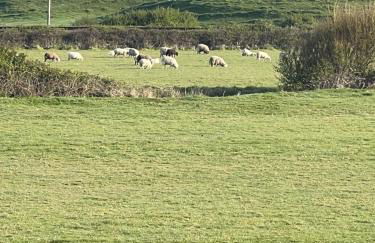 Beach front House - Foto 20