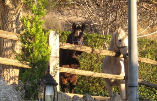 Casa Rural Los Nogales - Foto 27