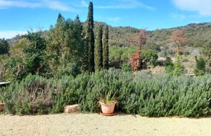 Villa Podere I Cavalieri - Foto 33