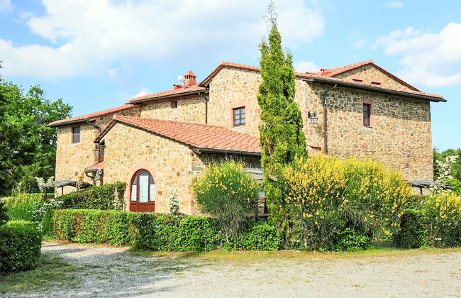 Pulcino n°3 - Foto 7