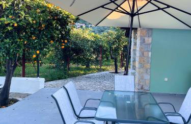 Citrus garden - Photo 24