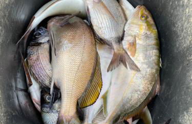 Villa Mi Marino - Foto 58