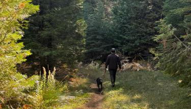 Bear Meadow Cabin at Shaver Lake - Foto 4