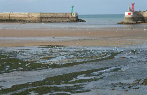 La Petite Goulette - Foto 13