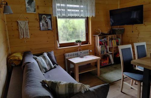 Bieszczadzka Ostoja - całoroczne domy na wynajem w Kalnicy - Foto 13