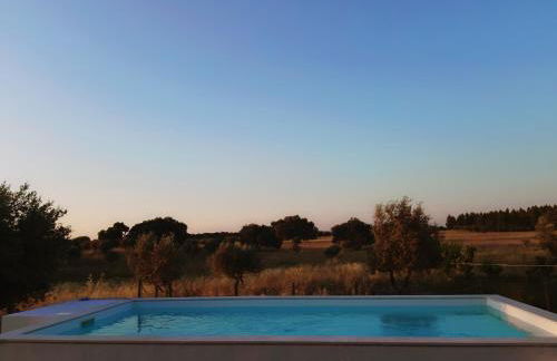 Monte do Rochinha - Foto 78