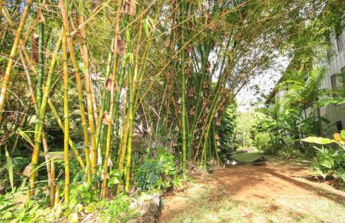 Kahala 413 - Photo 26