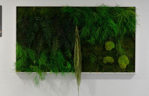 Résidence Ambroise Paré - Foto 9