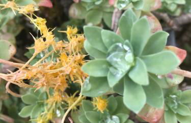 La Huberdière - Foto 10