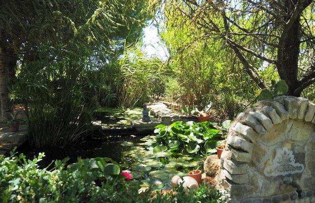 Cozy Vacation House With Pool, Vernegues - Foto 19