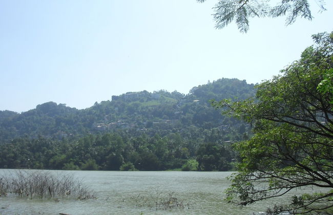 Riverside Homestay Apartments - Foto 19