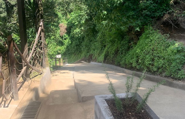 Finca El Tambor - Foto 61