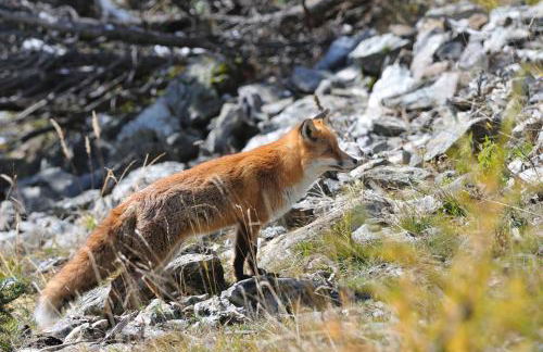 Casa Le Rondini - Photo 74